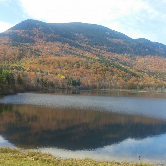 Meet your Posher, Darlene - Picture 1 of 1